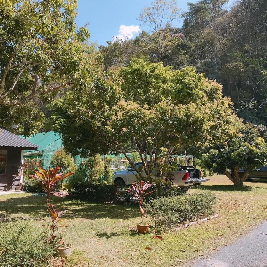 Hotel สวนฉัน Igarden à Ban Pang Champi Extérieur photo